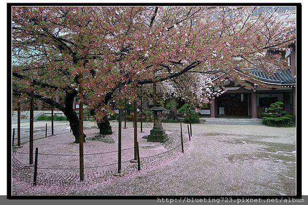 九州福岡縣《東長寺》3.jpg