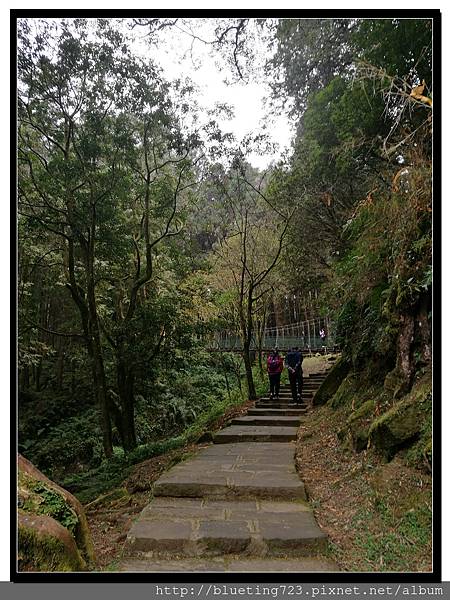 嘉義《阿里山國家風景區》20.jpg