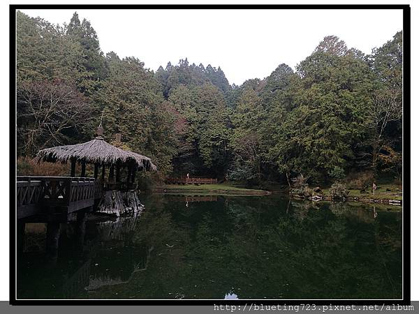 嘉義《阿里山國家風景區》30.jpg