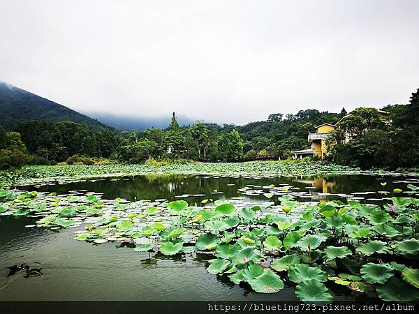 苗栗南庄《向天湖》.jpg