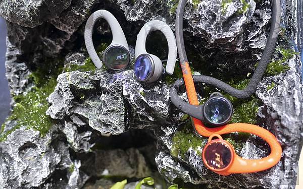 P1001805F_1600 (1).jpg