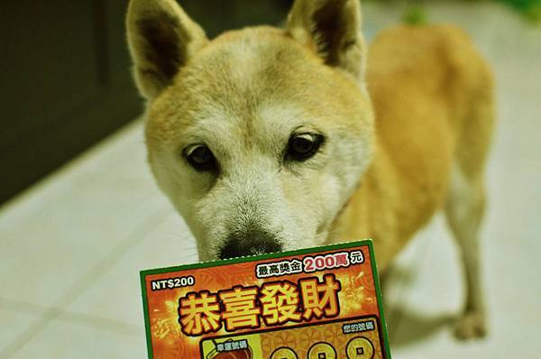 DSC_4876 - 複製.JPG DSC_4876 - 複製.JPG