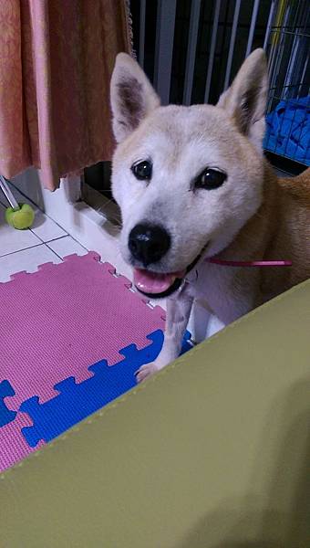 IMAG0362.jpg IMAG0362.jpg