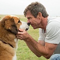 A Dog's Purpose.JPG