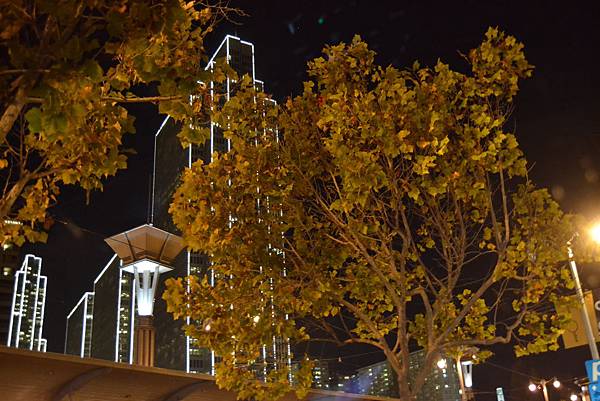 DSC_0221 DSC_0221