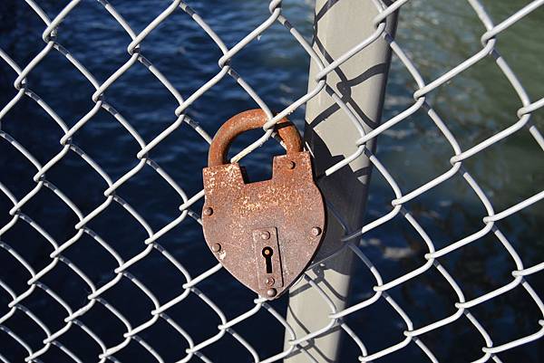 DSC_0356 DSC_0356