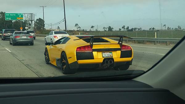 P_20170812_181010 - Copy.jpg