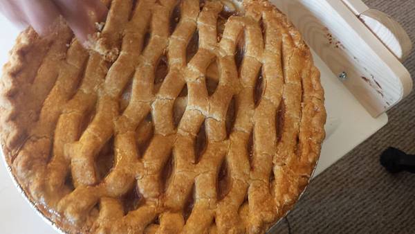 P_20171123_092606.jpg P_20171123_092606.jpg