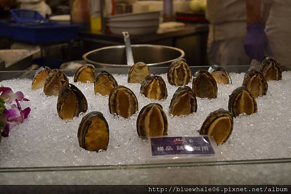 tw2018042223 (555).JPG tw2018042223 (555).JPG