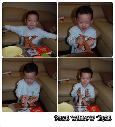 20100211-4.jpg 20100211-4.jpg