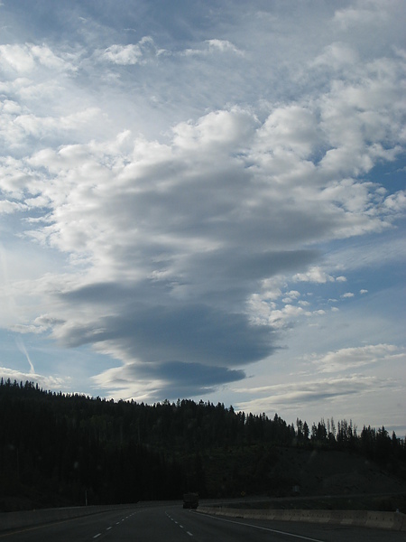 IMG_8488.JPG