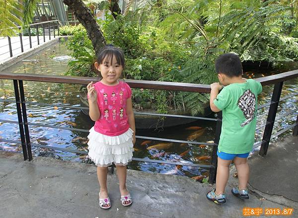 原生應用植物園9.JPG