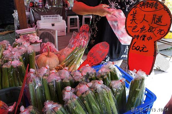 豐年靈芝菇類生態農場(採菇)12.JPG