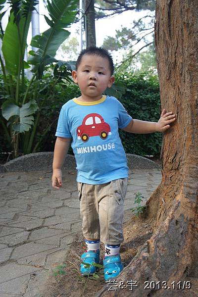 非洲園  雙喜鴛鴦  新竹動物園45.JPG