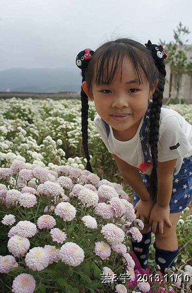 苗栗故事館  銅鑼賞杭菊72.JPG