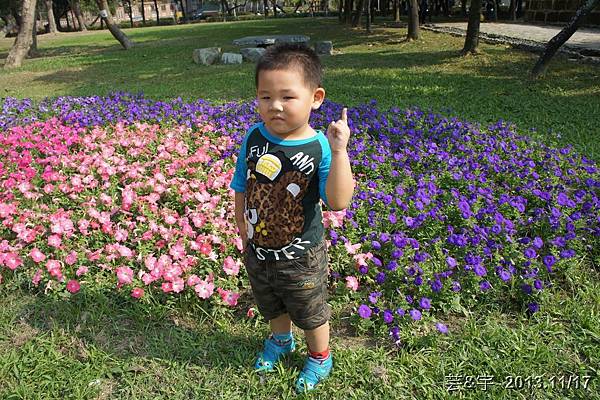 倆伯  原生植物園  高雄孔廟  龍虎塔20.JPG