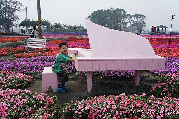 中社花市中社花海63.JPG