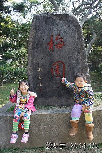 清大梅園2.JPG