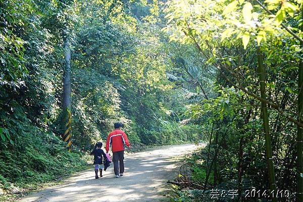 峇里森林溫泉度假39.JPG