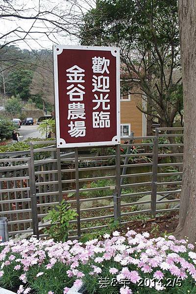 金谷農場  鴛鴦池農場1.JPG