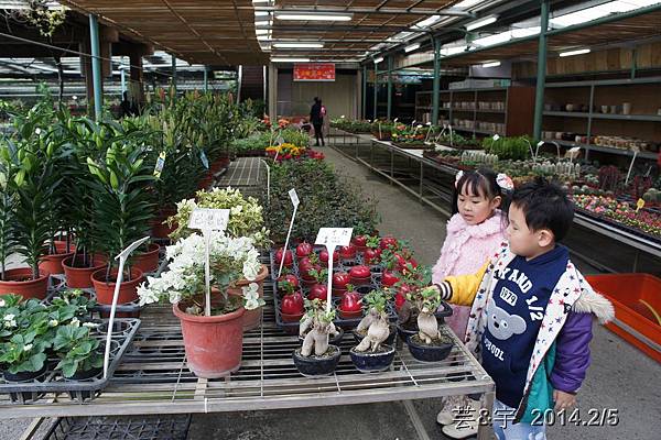 金谷農場  鴛鴦池農場6.JPG