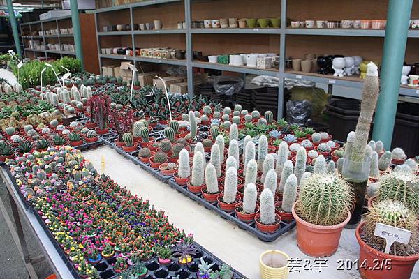 金谷農場  鴛鴦池農場7.JPG