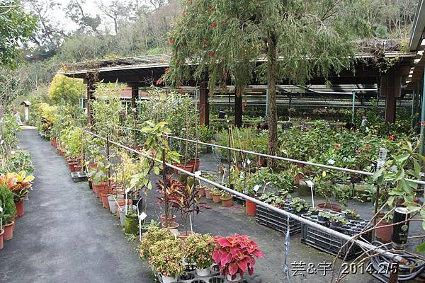 金谷農場  鴛鴦池農場8.JPG