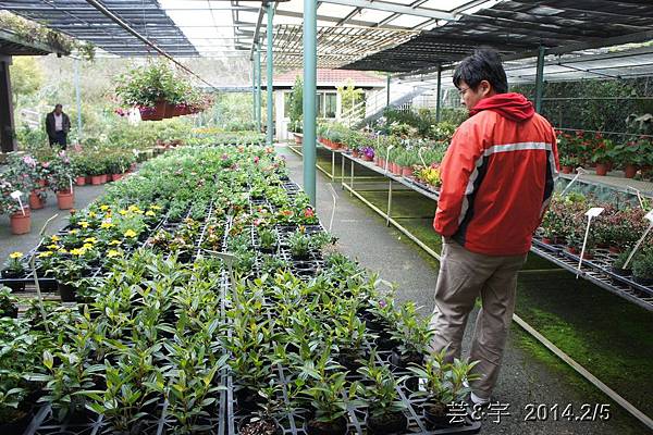 金谷農場  鴛鴦池農場10.JPG