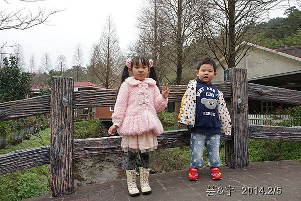 金谷農場  鴛鴦池農場15.JPG