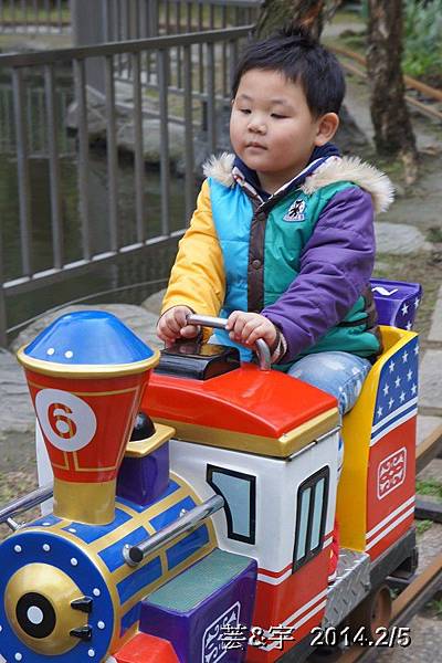 金谷農場  鴛鴦池農場31.JPG