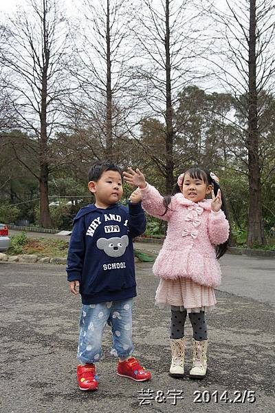 金谷農場  鴛鴦池農場33.JPG