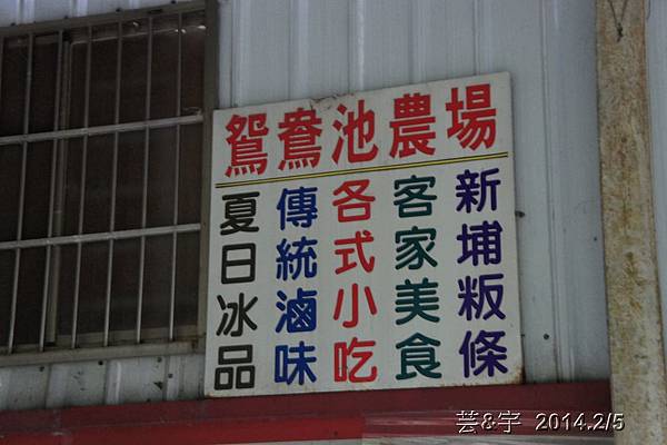 金谷農場  鴛鴦池農場43.JPG