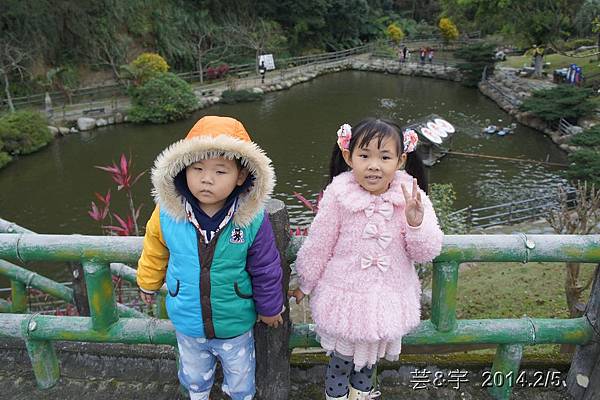 金谷農場  鴛鴦池農場45.JPG