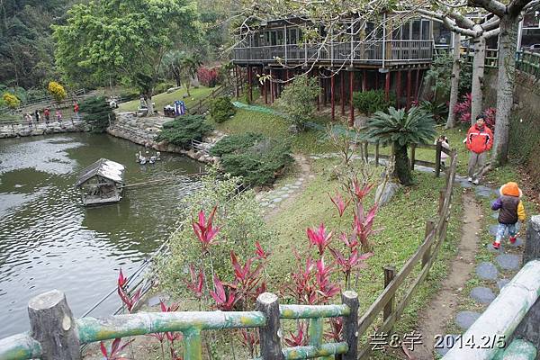 金谷農場  鴛鴦池農場46.JPG