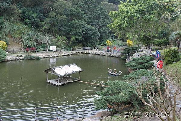 金谷農場  鴛鴦池農場47.JPG