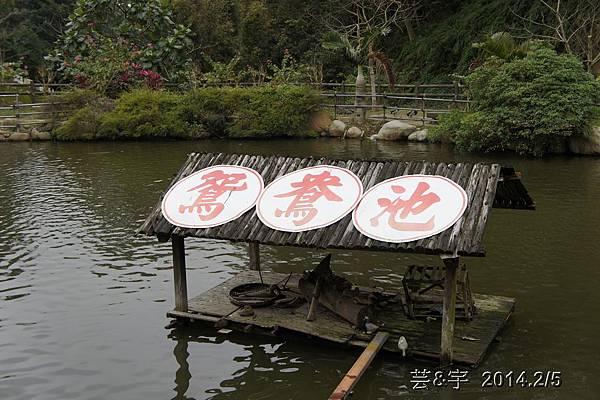 金谷農場  鴛鴦池農場48.JPG