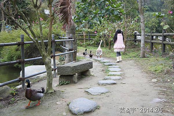 金谷農場  鴛鴦池農場53.JPG