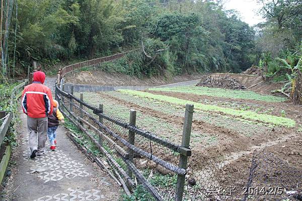 金谷農場  鴛鴦池農場55.JPG