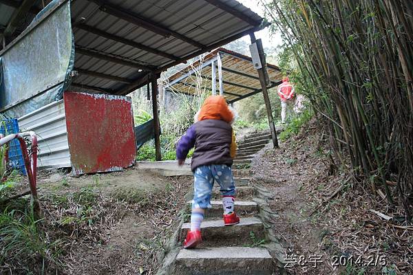 金谷農場  鴛鴦池農場58.JPG