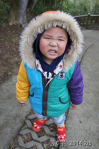 金谷農場  鴛鴦池農場61.JPG