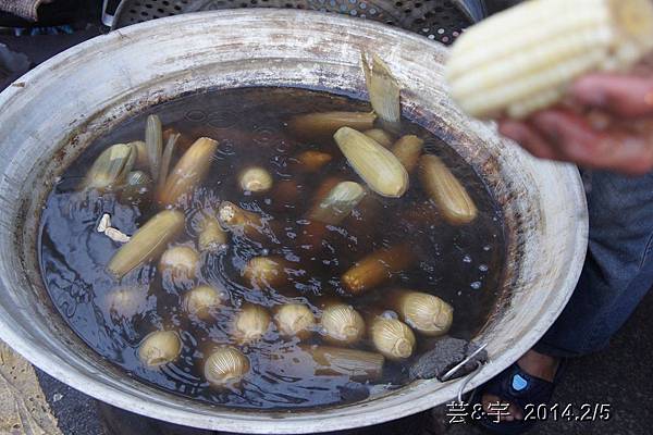 金谷農場  鴛鴦池農場64.JPG