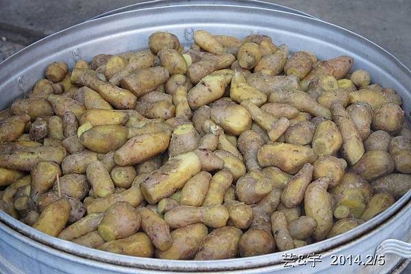 金谷農場  鴛鴦池農場65.JPG