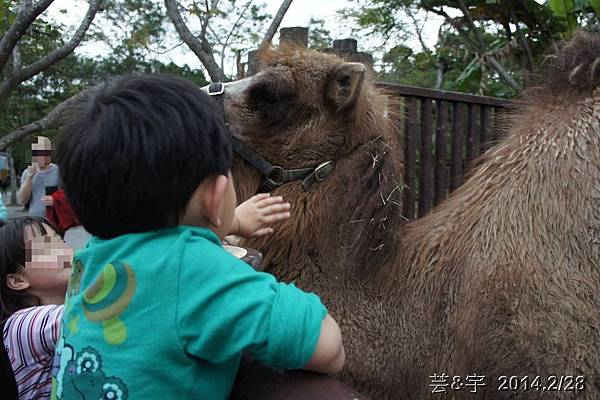 台北動物園12.JPG