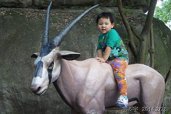 台北動物園43.JPG