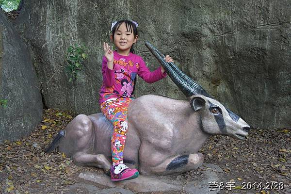 台北動物園45.JPG