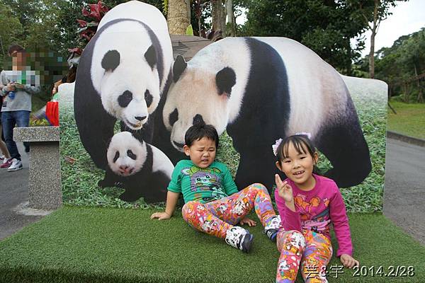 台北動物園51.JPG