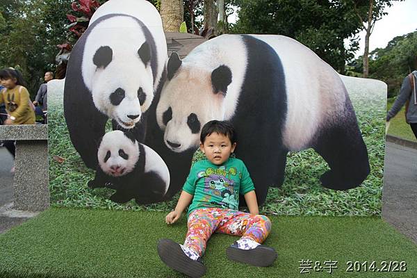 台北動物園53.JPG