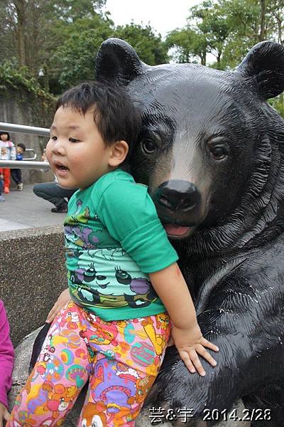 台北動物園57.JPG