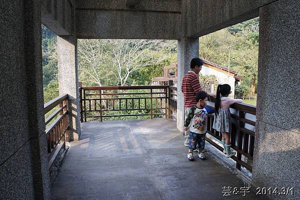 歇心茶樓  藤坪步道33.JPG