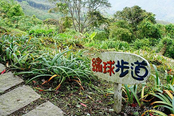 紅磚屋及6號花園57.JPG